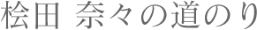 桧田奈々の道のり